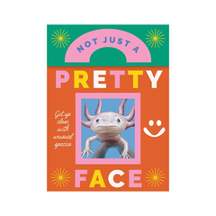 Not Just a Pretty Face