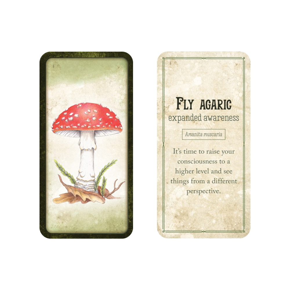 Mushroom Mini Affirmations Cards