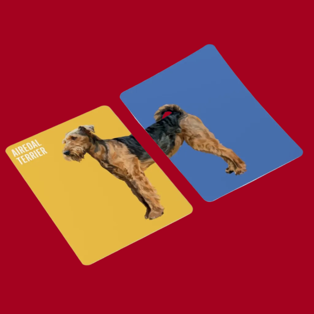 Heads and Tails Dog Memory Game