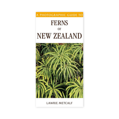 Photographic Guide to Ferns of New Zealand