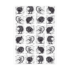 Ali Davies Tea Towel The Kiwi