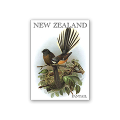 Art Magnet Bullers Fantail