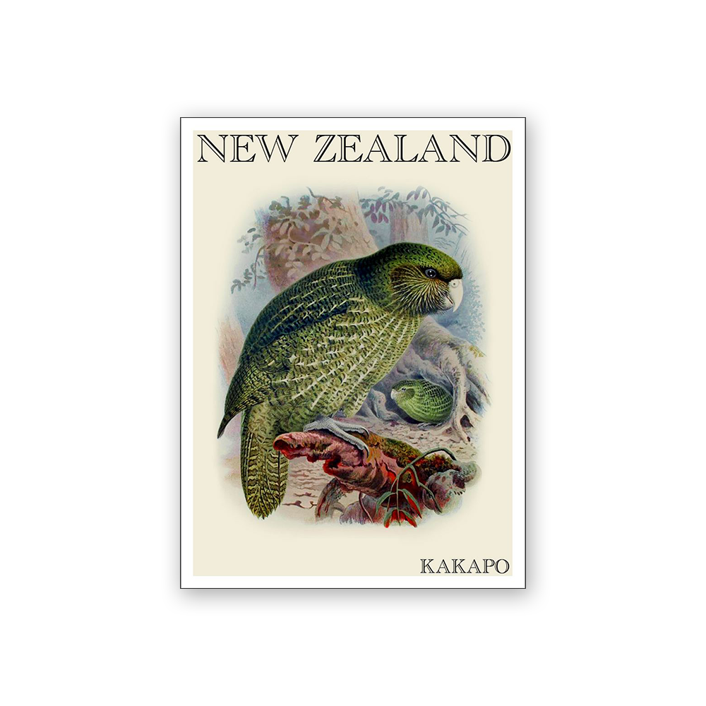 Art Magnet Bullers Kakapo
