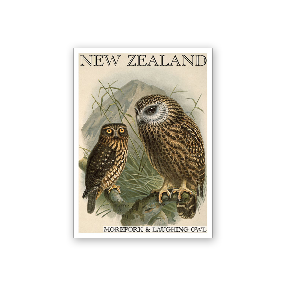 Art Magnet Bullers Morepork