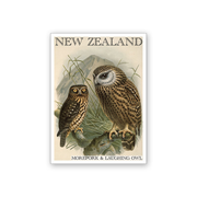 Art Magnet Bullers Morepork