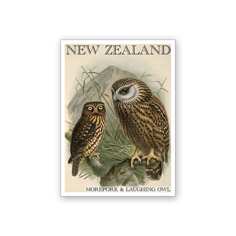 Art Magnet Bullers Morepork
