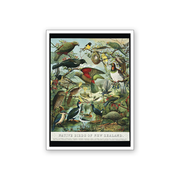 Art Magnet Bullers NZ Bird Chart