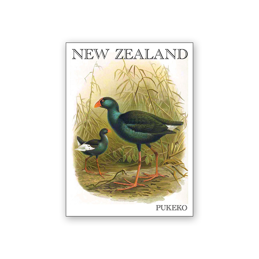 Art Magnet Bullers Takahē