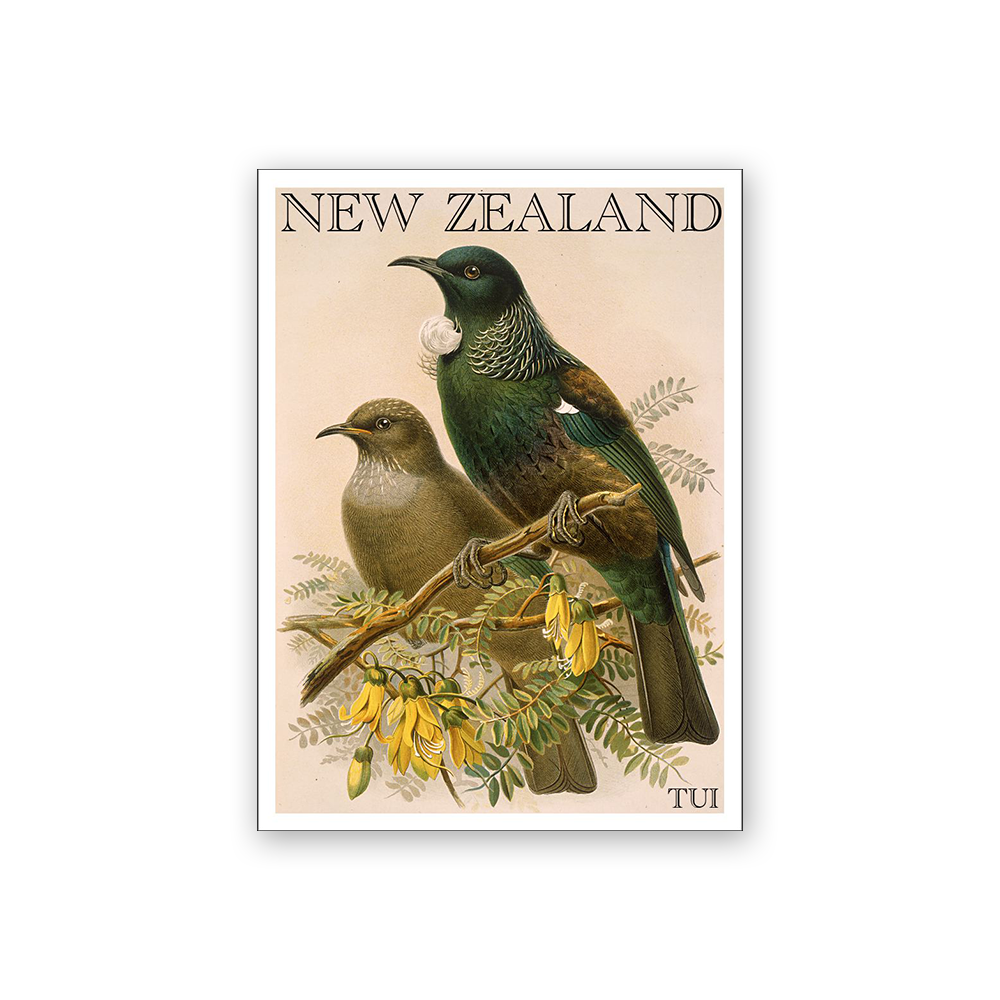 Art Magnet Bullers Tūī