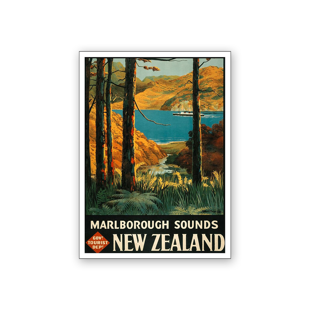 Art Magnet Marlborough Sounds New Zealand