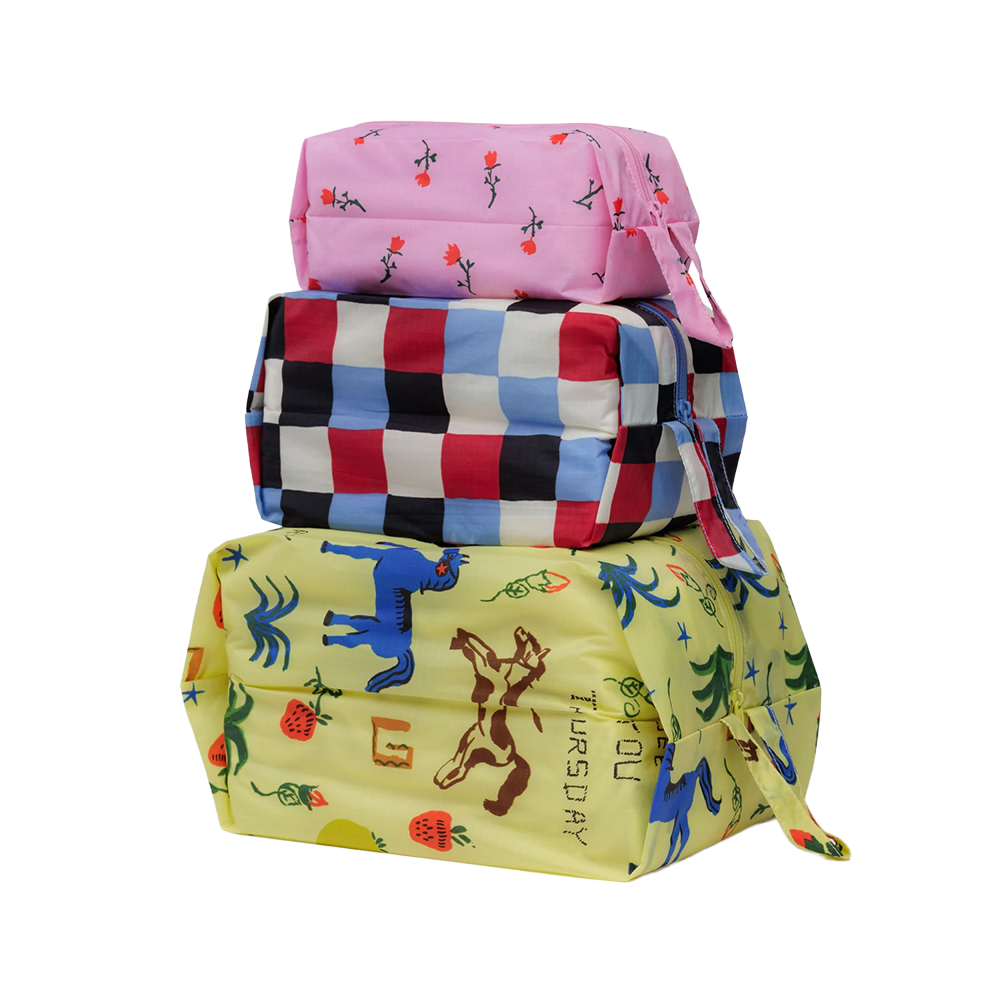 Baggu 3D Zip Pouch Painted