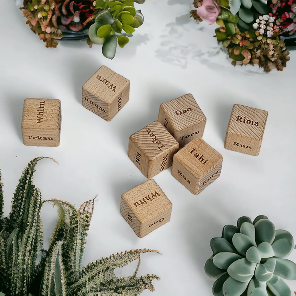 Māori Counting Blocks 0-100