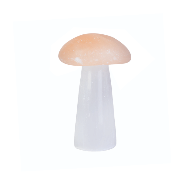 Selenite Mushroom Wellness Stone