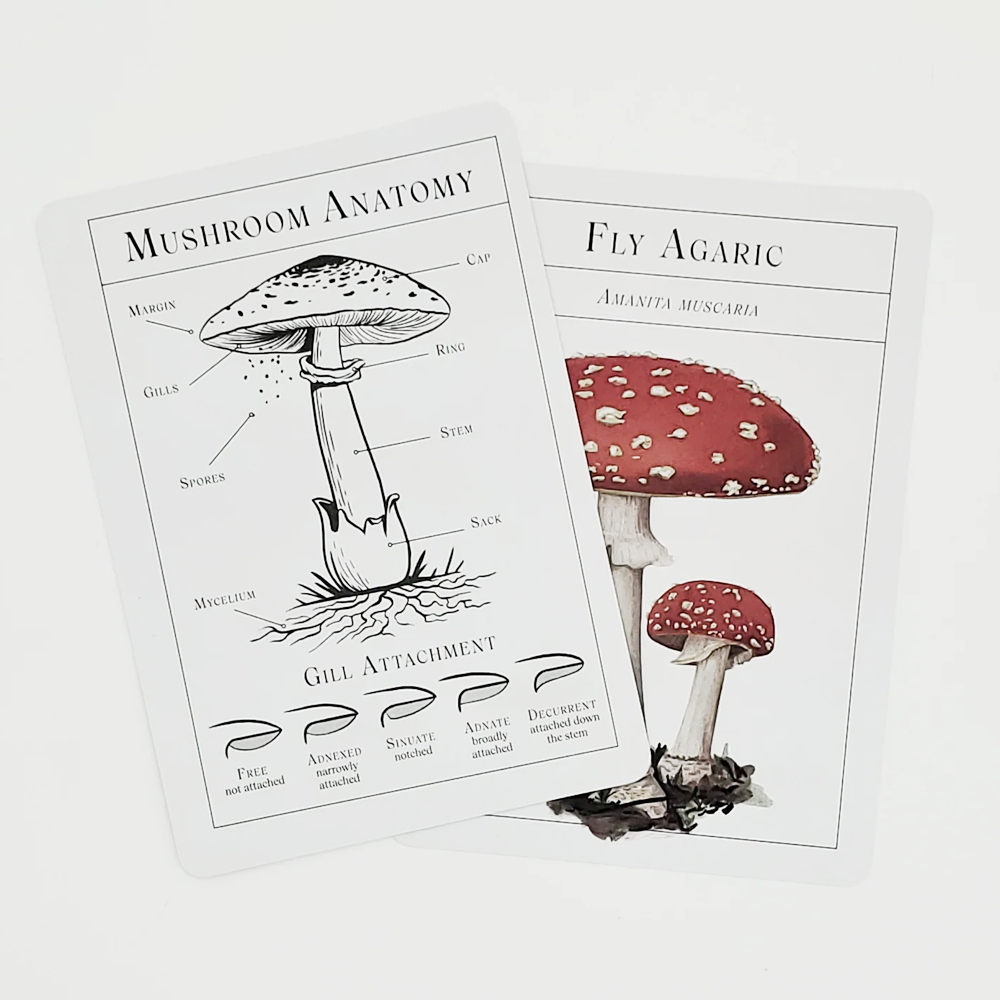 Deck of Mushrooms Cards