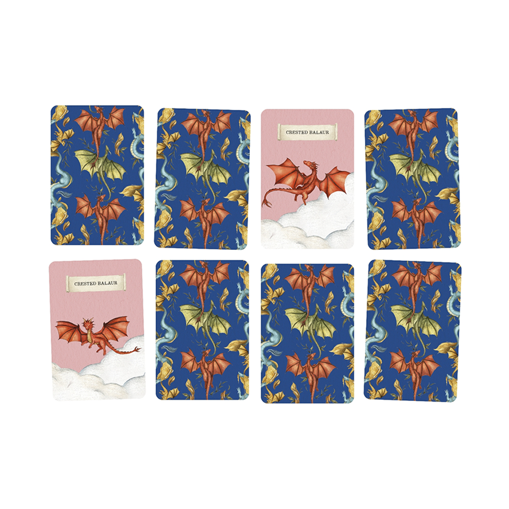 Discover the Dragons Memory Game