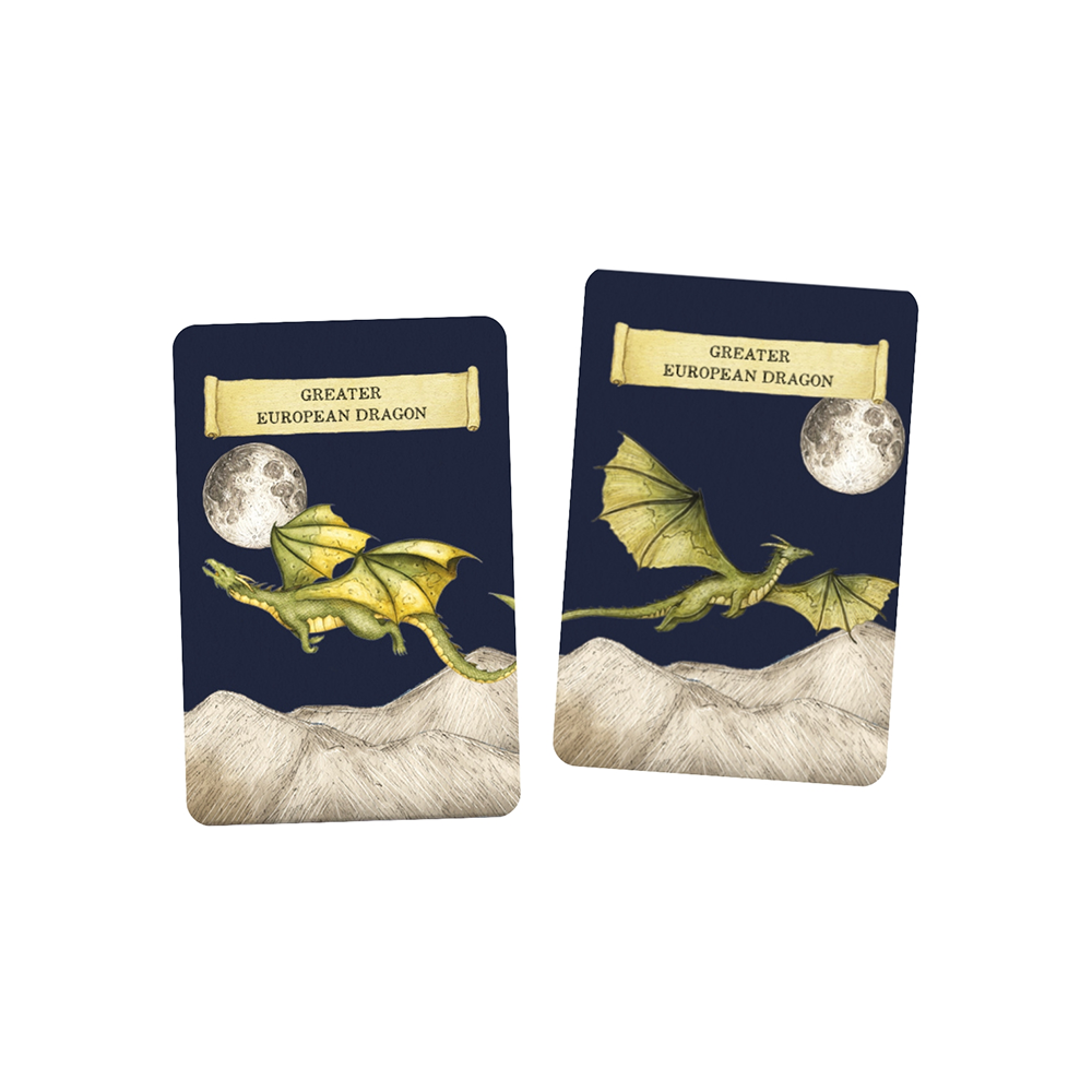 Discover the Dragons Memory Game