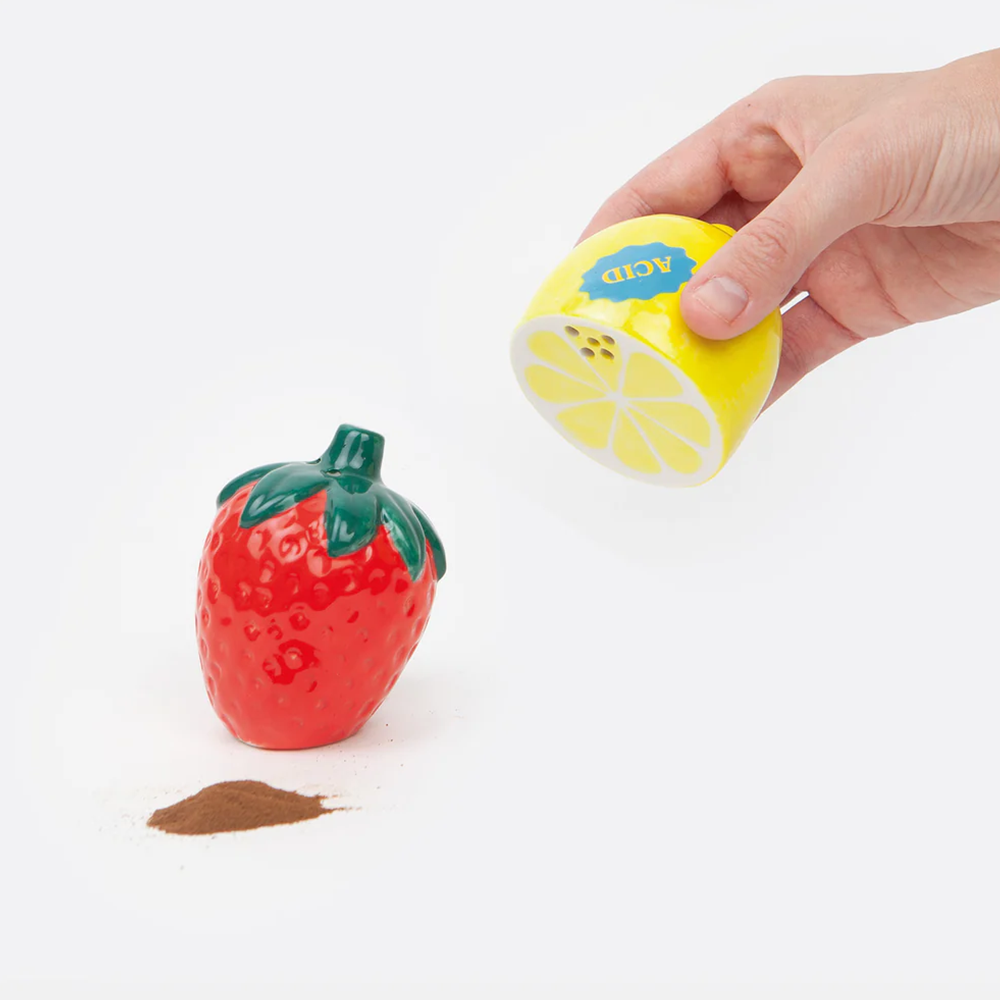 Doiy Farmers Market Ceramic Salt & Pepper Strawberry Lemon