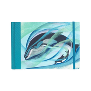 Eileen Mayo Journal Humpback and Bottlenose