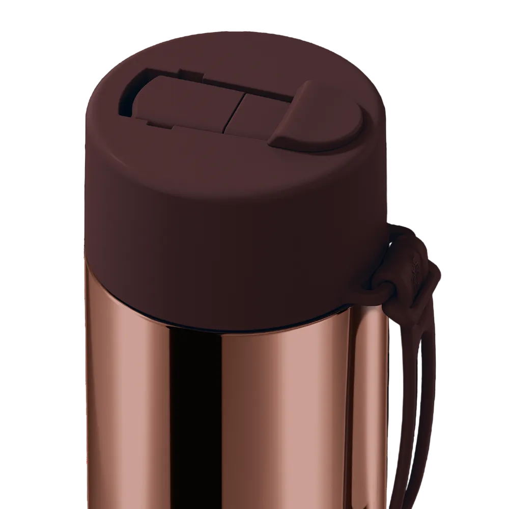 Close-up of a stainless steel water bottle with a dark brown lid and carrying loop, shown on a white background.