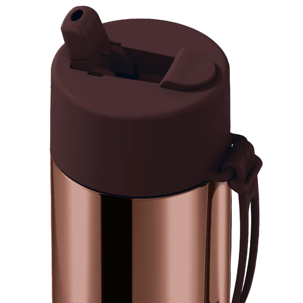 Close-up of a stainless steel water bottle with a dark brown lid and carrying loop on a white background.