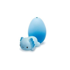 Growing Axolotl in Egg