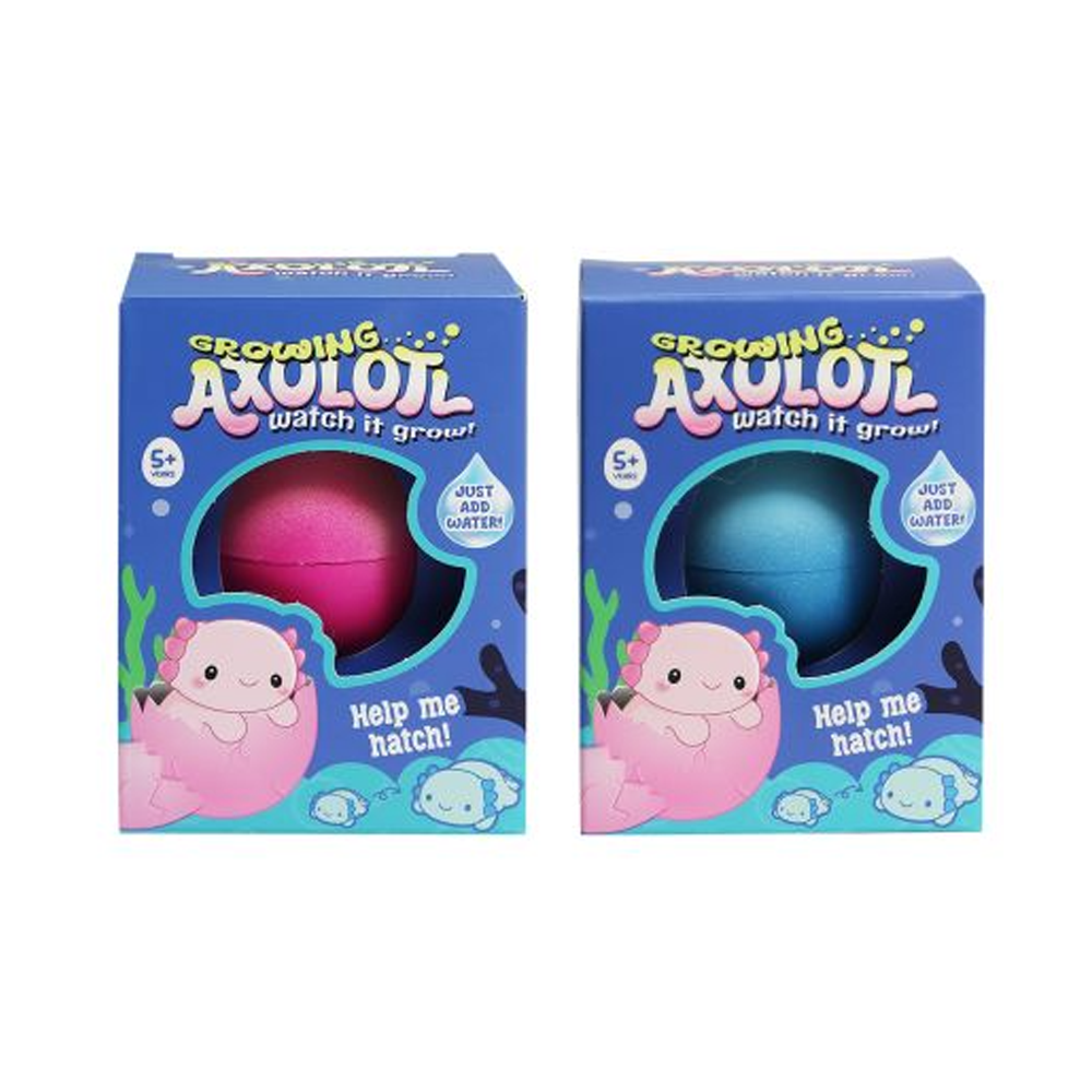 Growing Axolotl in Egg