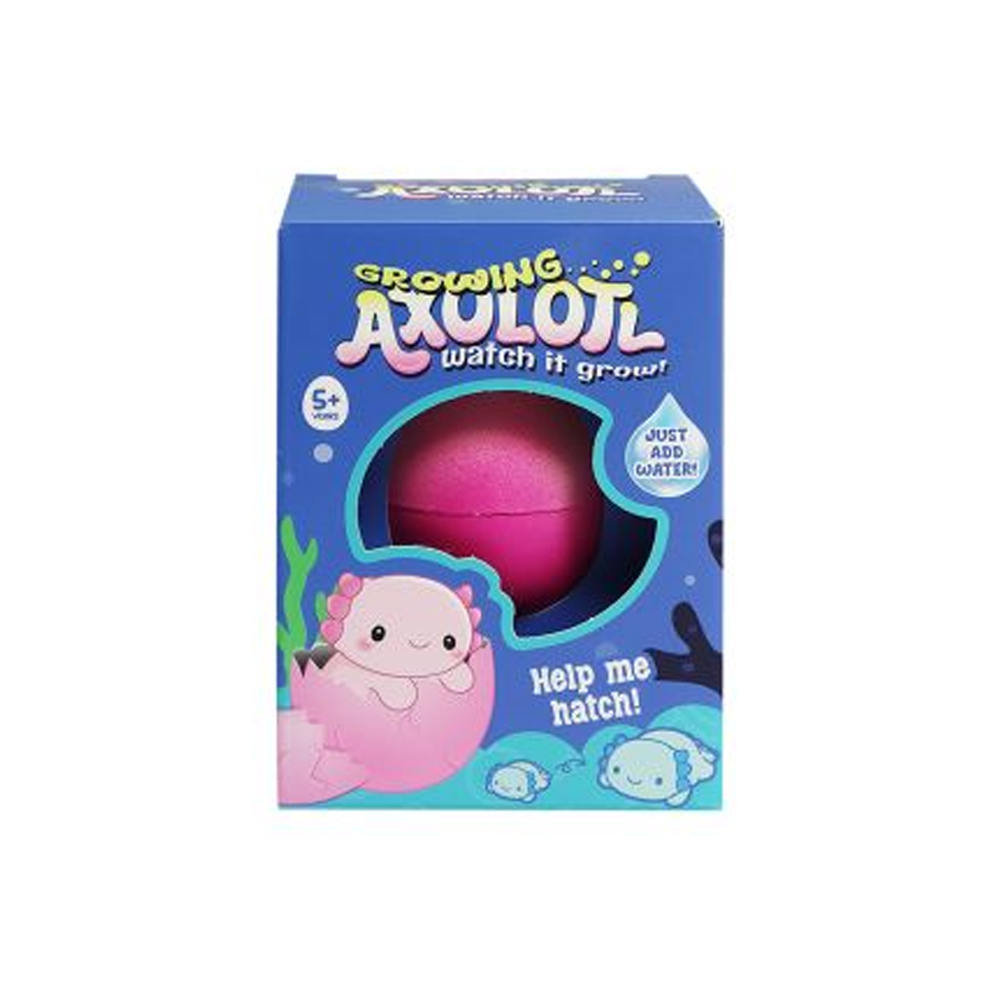 Growing Axolotl in Egg