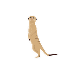 Iko Iko Fun Size Sticker Meerkat