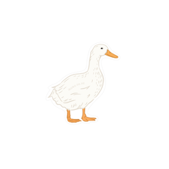 Iko Iko Fun Size Sticker Duck White