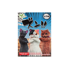 Zunn Attitude Cats Blind Box
