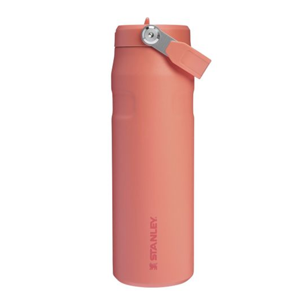 Stanley IceFlow Bottle with Flip Straw Lid 24oz Pucker Peach