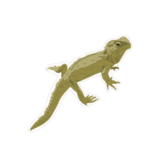 Iko Iko Fun Size Sticker Tuatara