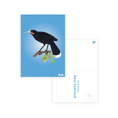 Iko Iko Postcard Kiwiana Geo Huia