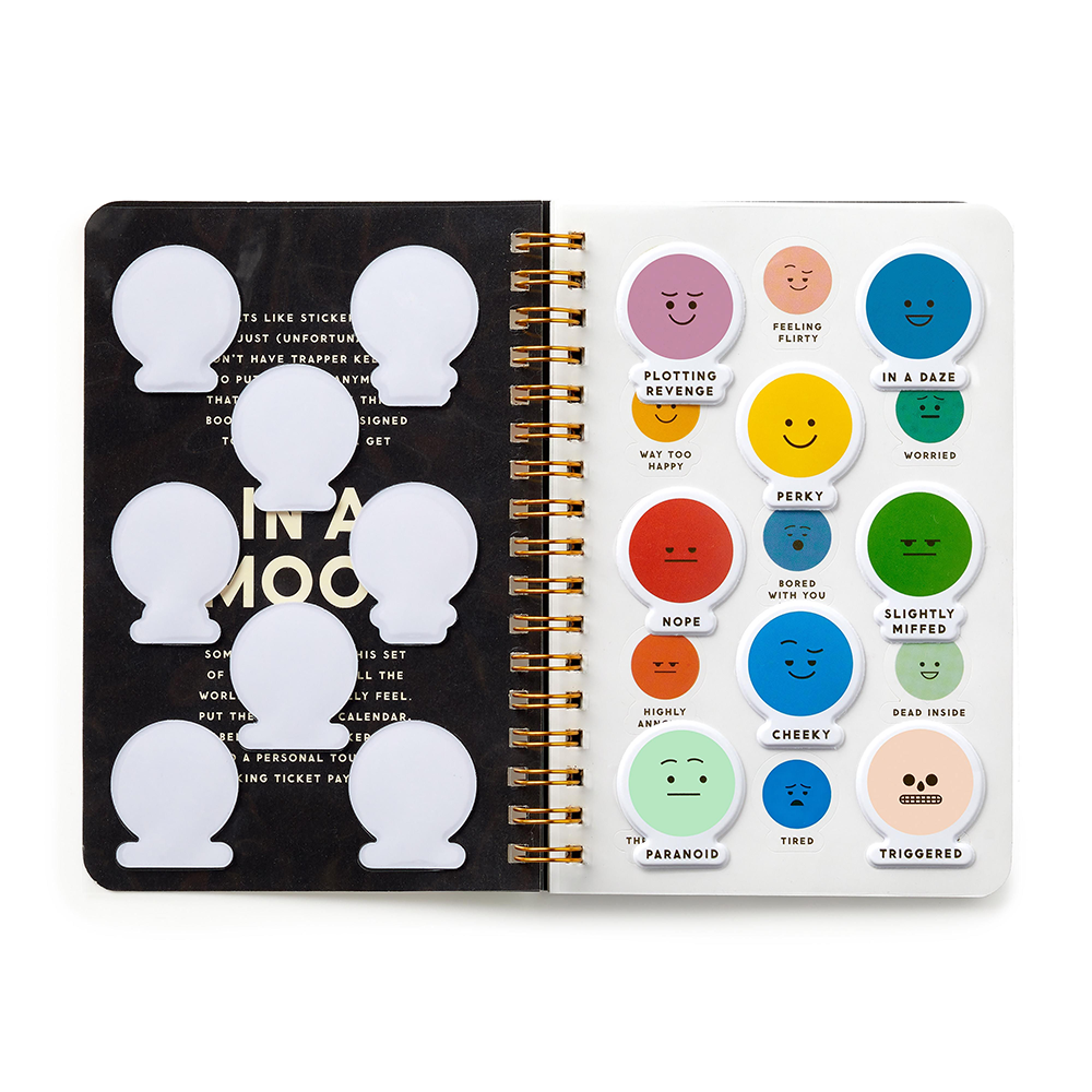 Brass Monkey Sticker Book In a Mood