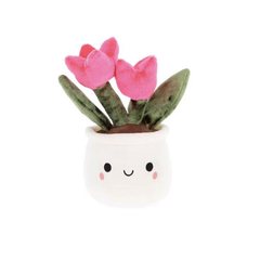 Keel Plant Bobballs  Flowers