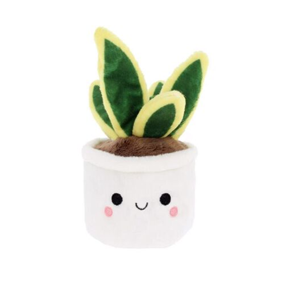 Keel Plant Bobballs Houseplants