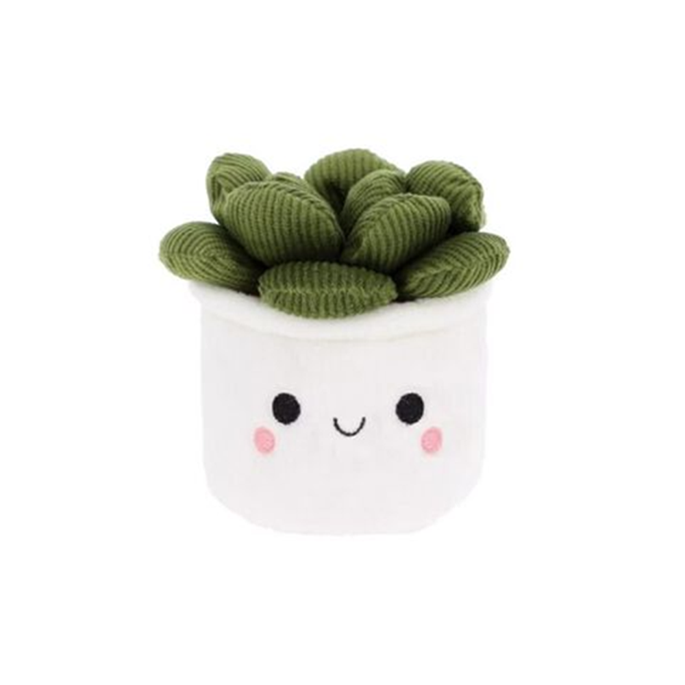 Keel Plant Bobballs Houseplants