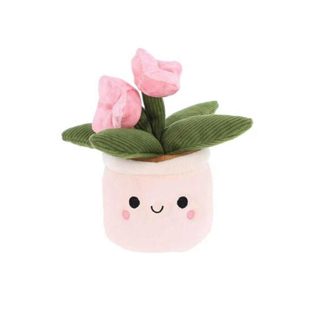 Keel Plant Bobballs  Flowers