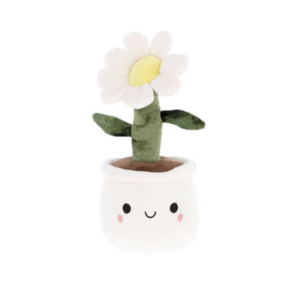 Keel Plant Bobballs  Flowers