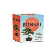 Mini Bonsai Kit