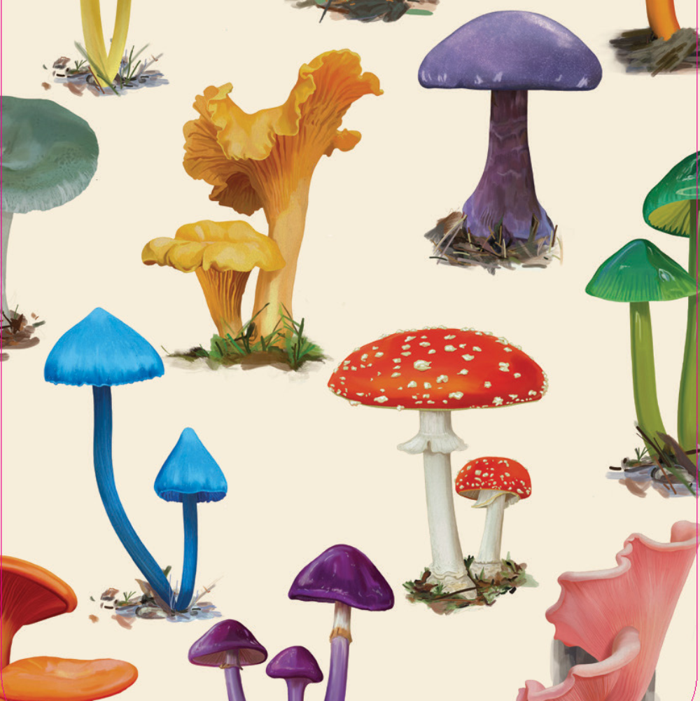 Colorful assortment of mushrooms on a beige background