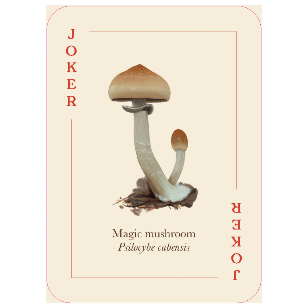 Card with a mushroom illustration labeled 'Joker' and 'Magic mushroom Psilocybe cubensis'.