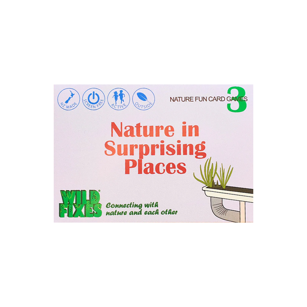 Nature Fun Card Games Nature in Surprising Places