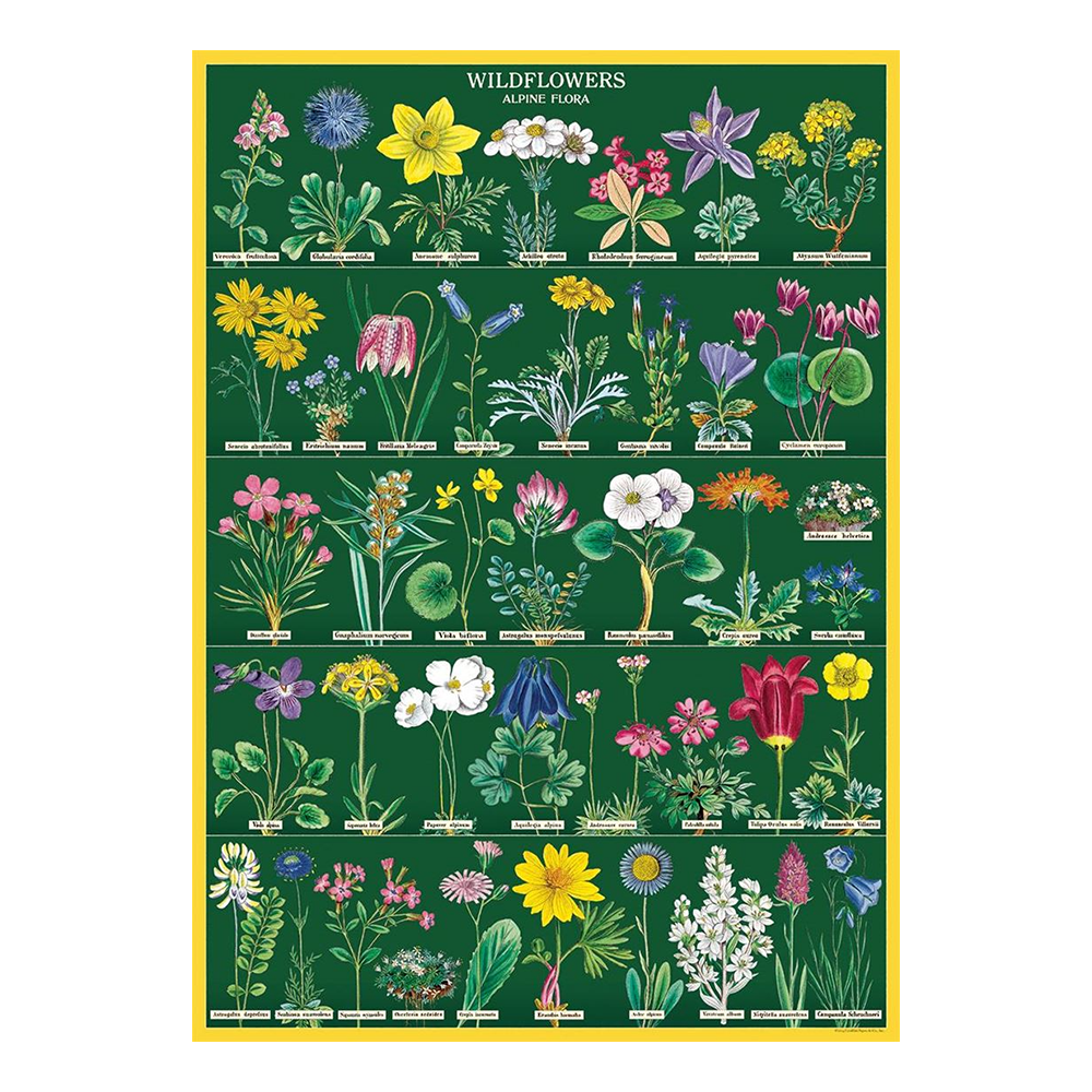 Cavallini Vintage Poster Wildflowers 2