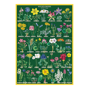 Cavallini Vintage Poster Wildflowers 2