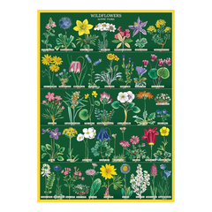 Cavallini Vintage Poster Wildflowers 2