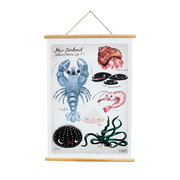 Misery Guts Wall Chart New Zealand Native Marine Life A1