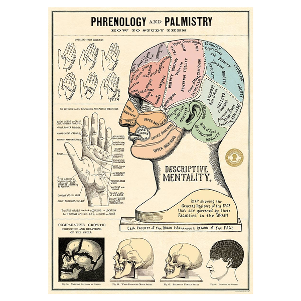 Cavallini Vintage Poster Phrenology and Palmistry
