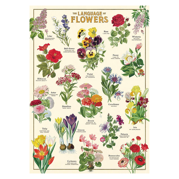 Cavallini Vintage Poster Language of Flowers