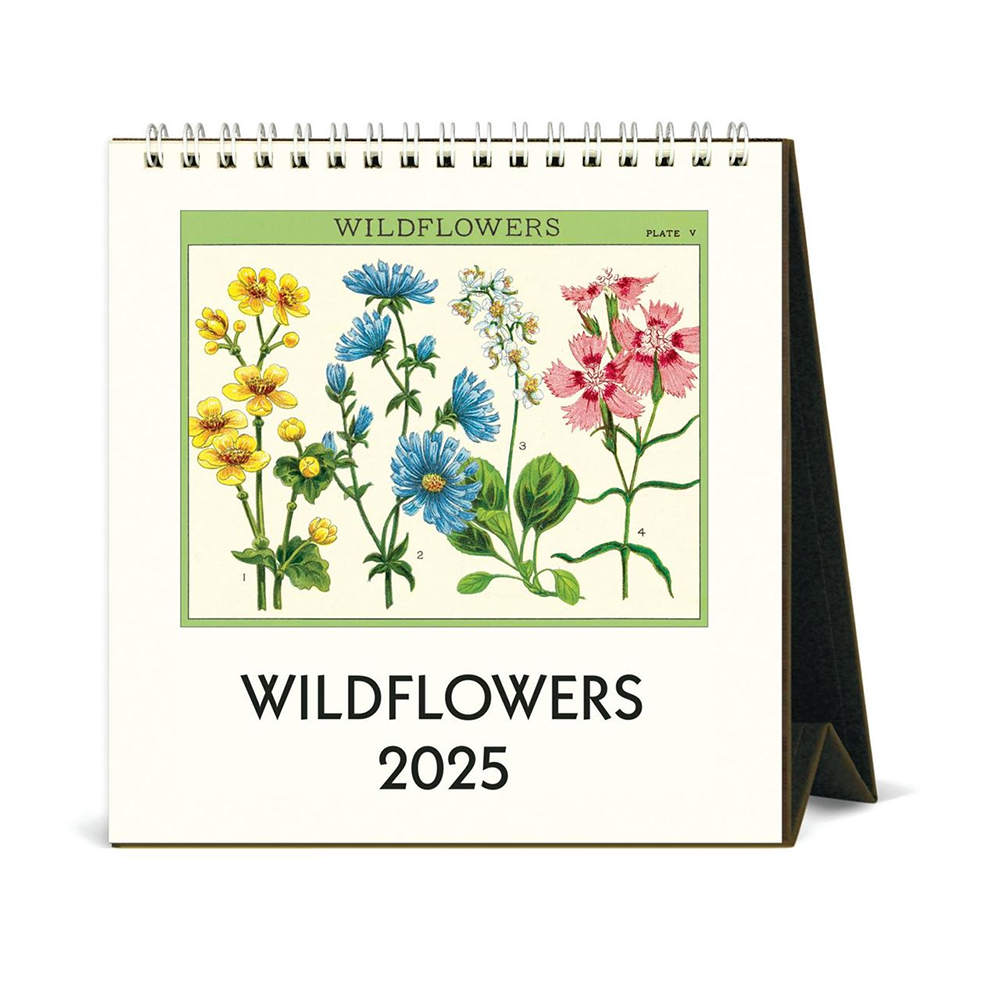 Cavallini 2025 Desk Calendar Wildflowers